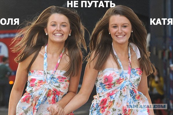 как отличить хаски от лайки фото онлайн как отличить хаски от лайки фото