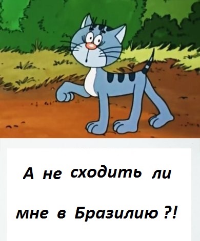 Воронежский пенсионер рванул в Бразилию на ЧМ