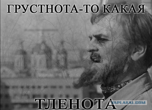 Когда вы плюсуeтe тему в платине