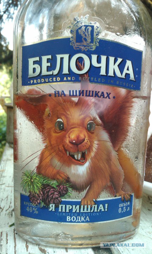 Чип и Дейл спешат на помощь