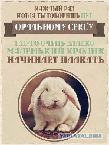 Прикольные картинки на понедельник .