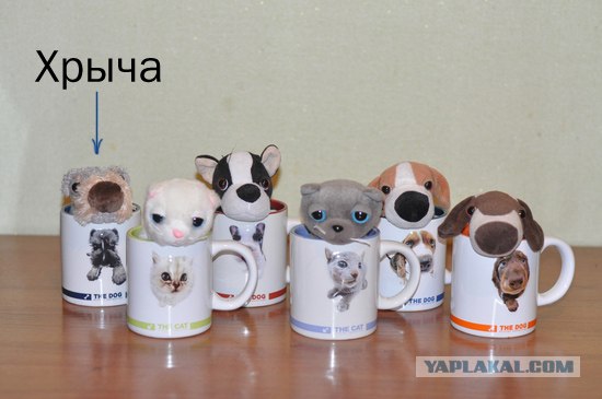 Вах уях