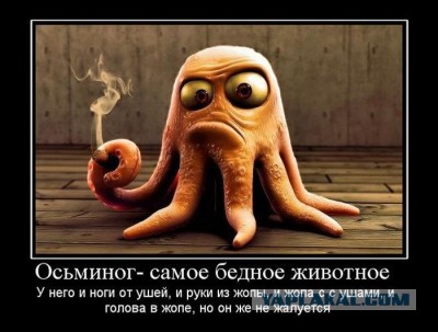 Поднимаем настроение