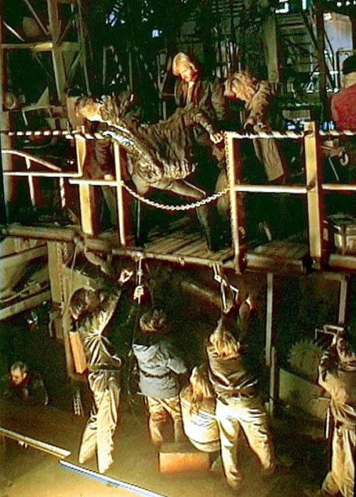 Кадры со съемочной площадки "Терминатора"