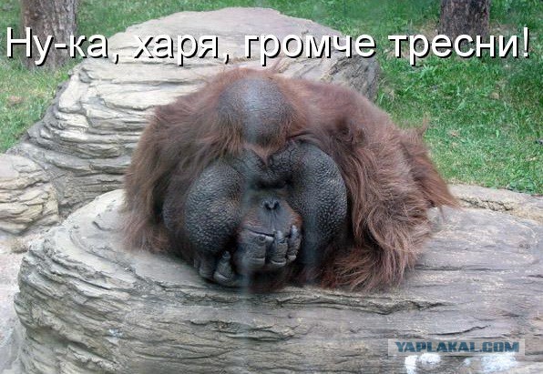 Вашингтон выдвигает Москве условия для частичной
