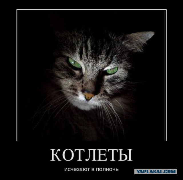Горячие демотиваторы