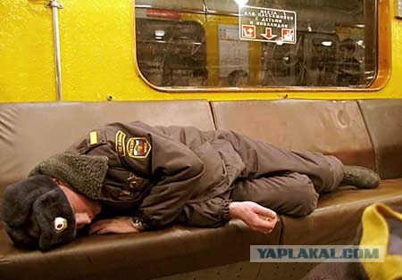 У мусора есть дом