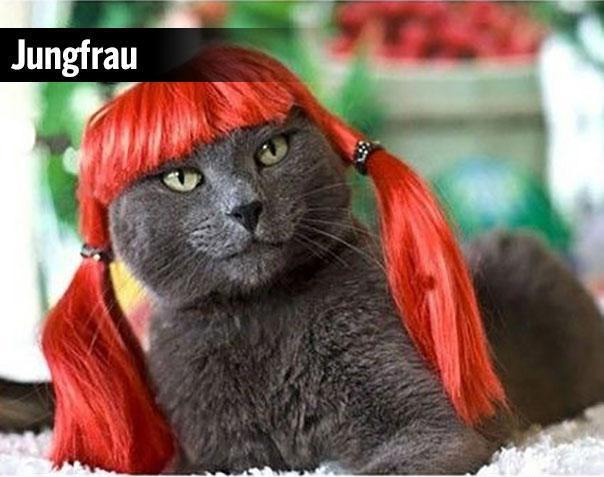 Весёлые картинки