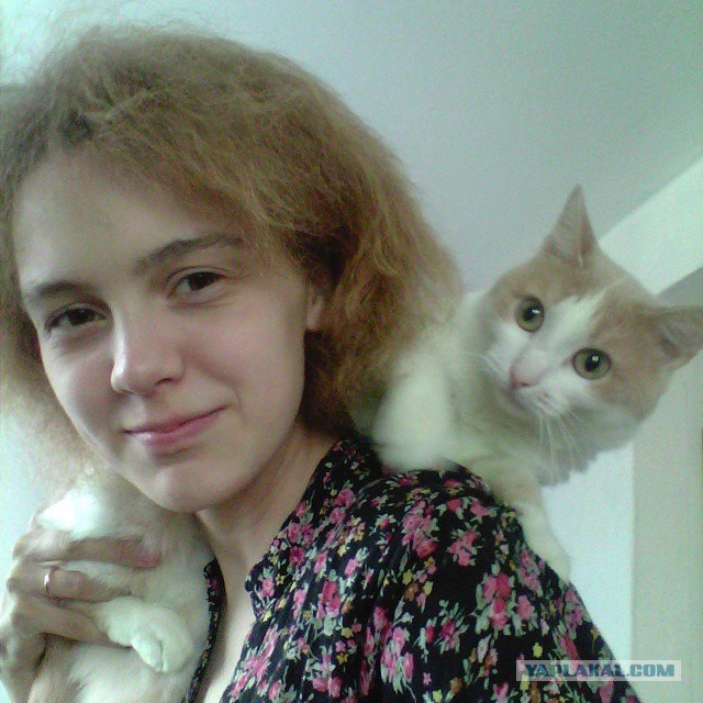 Котовторник 24.03.2015