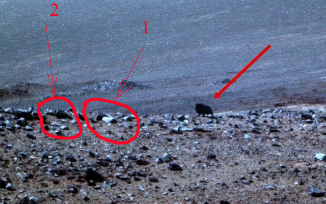 Ровер НАСА снял на Марсе животное