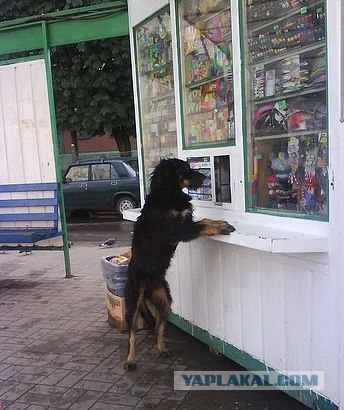 Фото с телефона