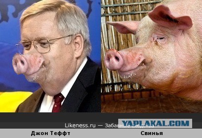 Мнение  посла США в России