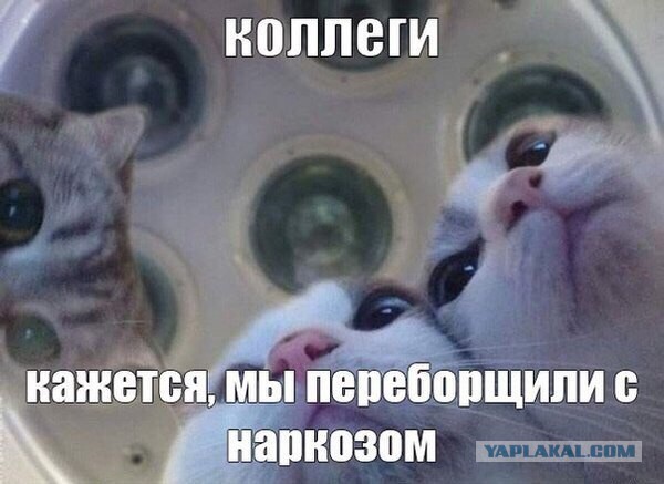 Картинки из инета