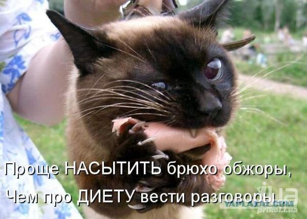 "...я вас сожру."