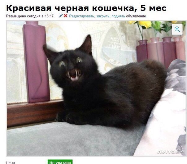 Немного юмора, заимствованного из сети