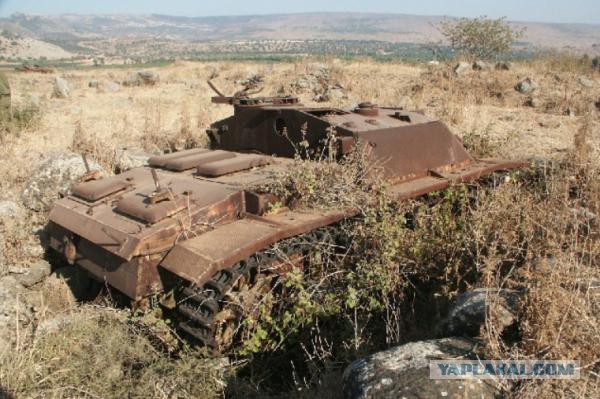 Танки поглощенные природой. Всё проходит...