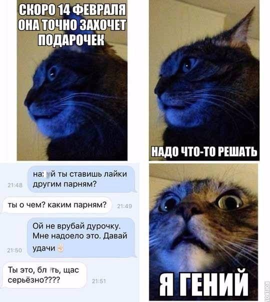 Смешные комментарии 31.01.2016