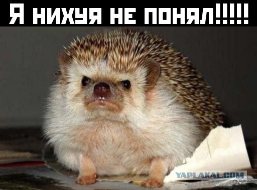Немагия нахлобучила Симонова