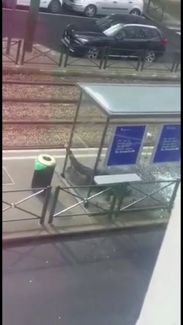 В Брюсселе вновь прогремел взрыв в районе проведения спецоперации