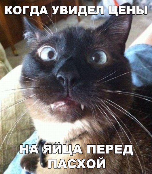 Мохнатые беспредельщики