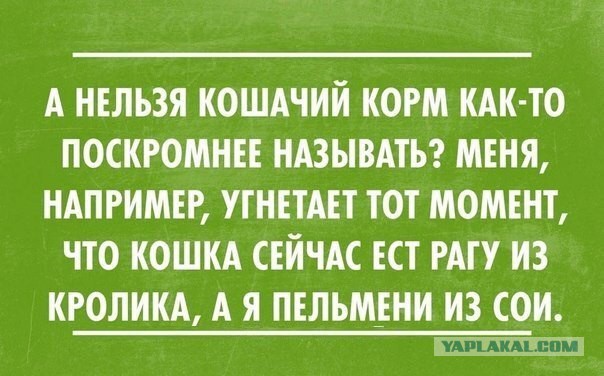 Подборка картинок