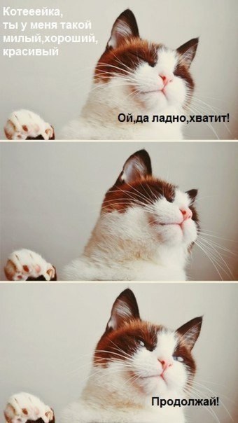 Мохнатые беспредельщики