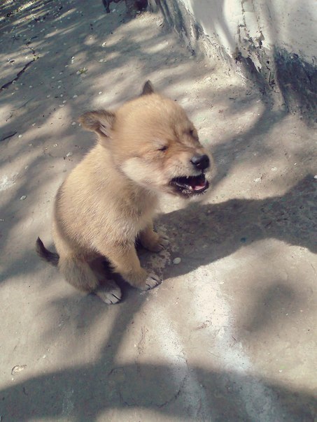 Подборка интересных и смешных картинок