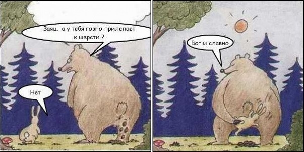 ДТП с машиной ассенизатора
