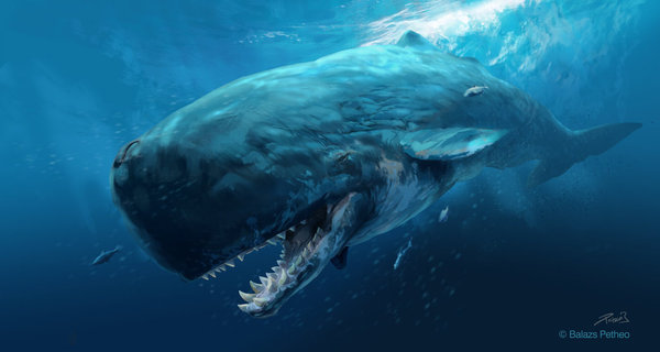 Цари подводного мира: Мегалодон vs Левиафан Мелвилла