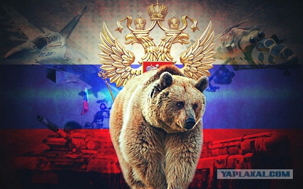 Медведь - свадебный оберег на Руси