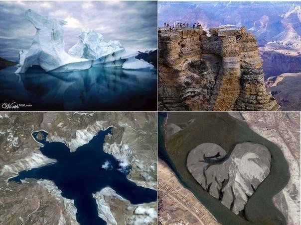 Картинки и приколы из сети