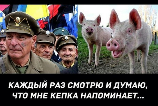 Новая шапка ВСУ