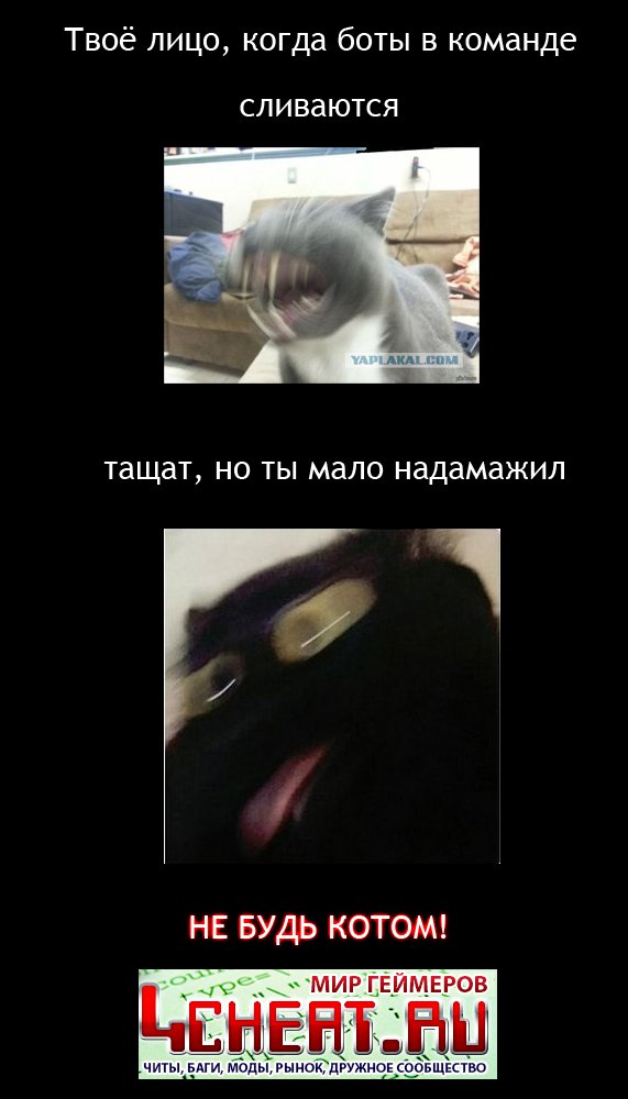 Wargaming 40