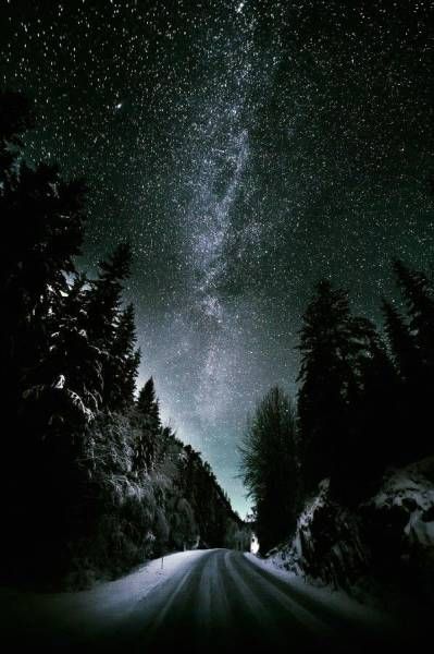 Картинки всякие