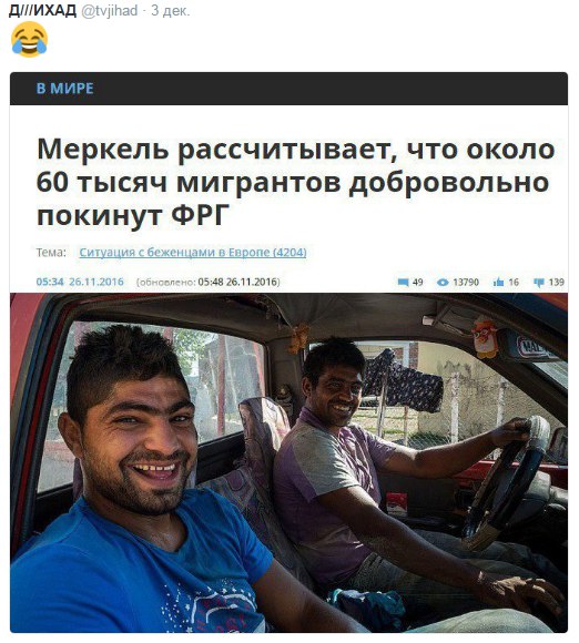 Порция картинок