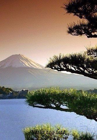 Моменты, запечатлённые на фото и просто позитив 5
