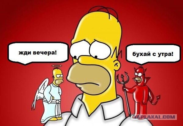 Подборка интересных и веселых картинок