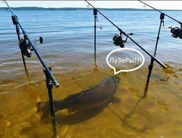 Жестокое избиение
