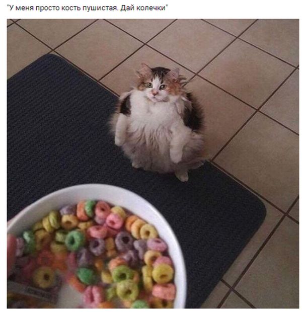 Подборка интересных и веселых картинок