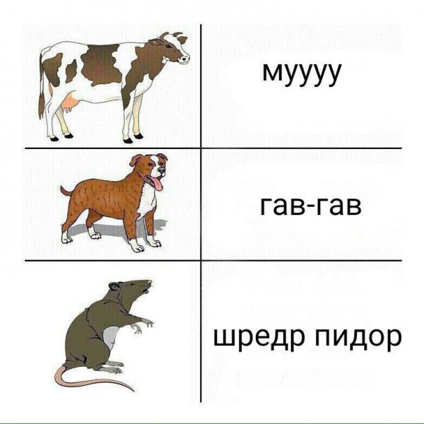 Приколы в стиле "регресс"