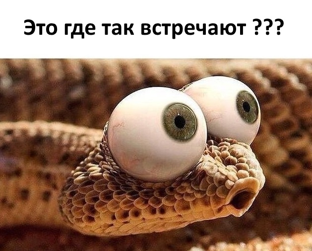 А вот просто лень