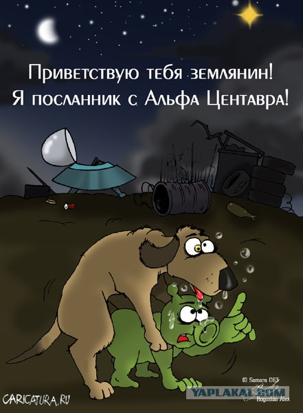 Не очень адекватный юмор