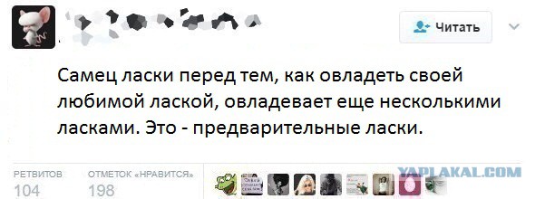 Смешные комментарии из социальных сетей 31.08.2018