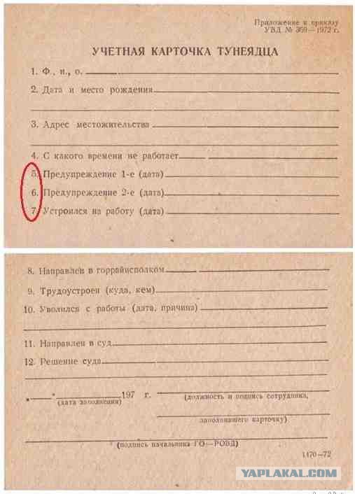 Перлы