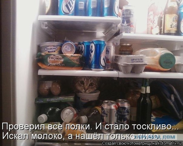 Я буду здесь жить!