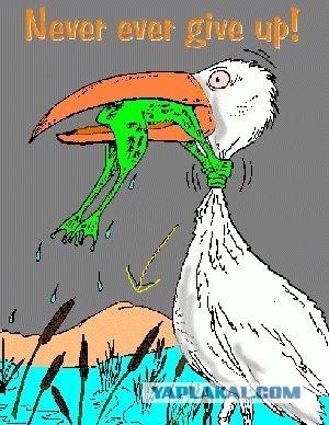 Никогда не сдавайся!