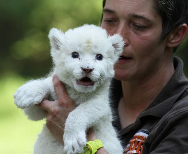 Папаня! Ну вот... а то все "мама" да "мама"!