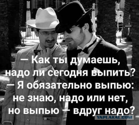 Небольшой монолог непьющего алкота