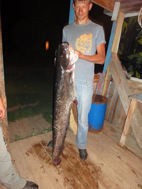 Вот какие рыбки раньше на Урале ловились.