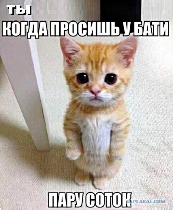 Немного картинок для настроения